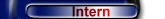 intern